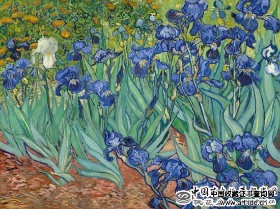 TOP7.《鸢尾花》(Irises,1889),5390万美元 TOP7.《鸢尾花》(Irises,1889),5390万美元